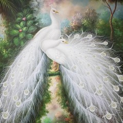 Radha