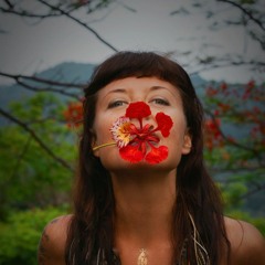 Jungle Sound Healing