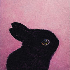 Black Velveteen Rabbit