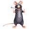 Ladrao De Rato