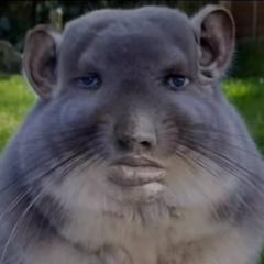 Lê Đức