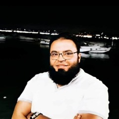 د. محمد سعيد عبدربه