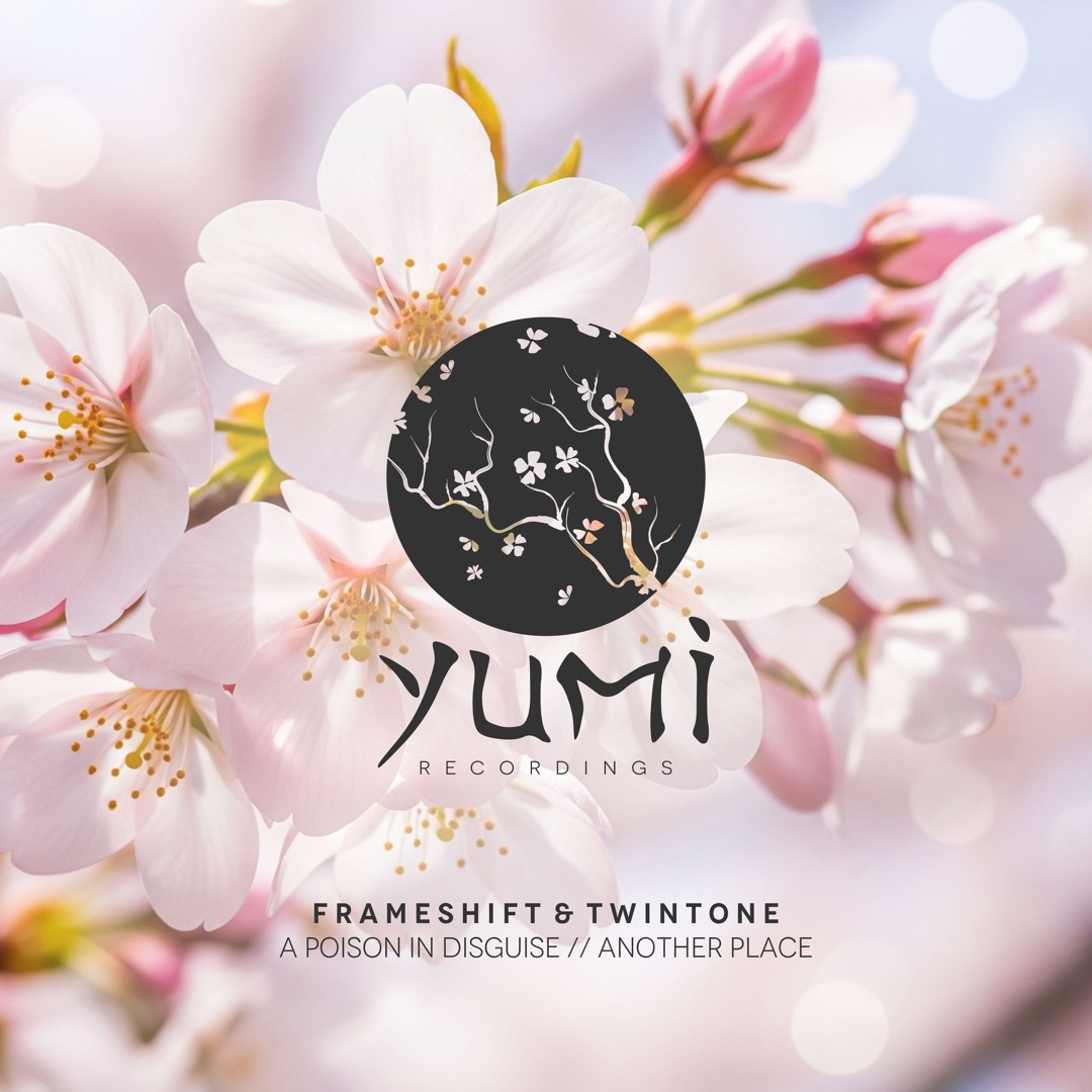 Stream Yumi Recordings music | Listen to songs, albums, playlists