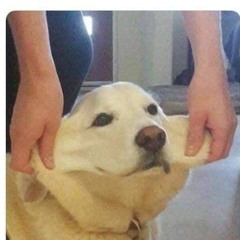 Marco Antonio Estrada