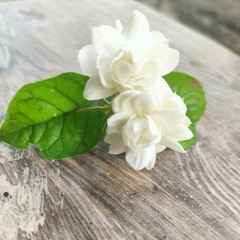 إحسان إبراهيم