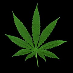 brotherGlasshalfempty