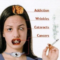 LADRXGVDIGITALMETALGEARMOLLY