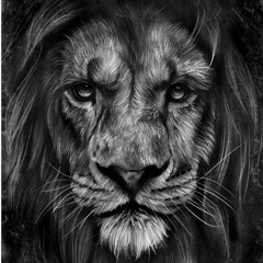 Stacey Rhianna Jefferson