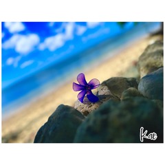 𝐊 𝐀̊ 𝐄̈(✿ ♥‿♥)