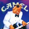 camel