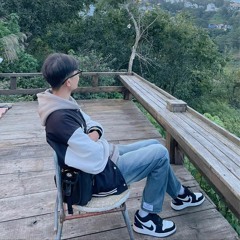 dinhchan