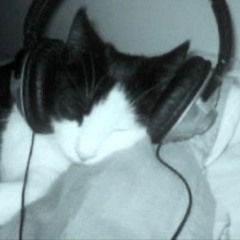 Tsuki