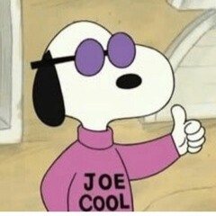 Joe Cool