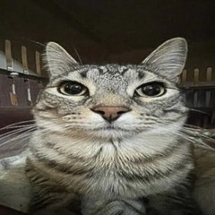 Angel Rivera Fuentes