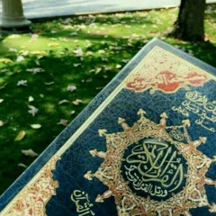 مَـريم علَّام