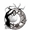 Dark Hollow Band