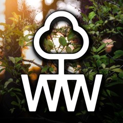 WaldWave