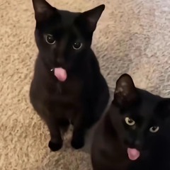 Smashy