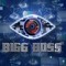 BIGG_305