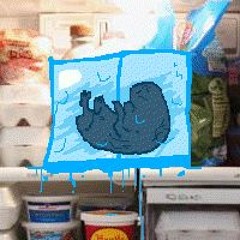 refridgerated orphan