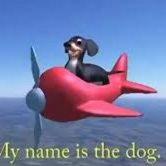 dog of wisdom