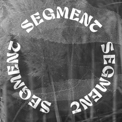 Segment