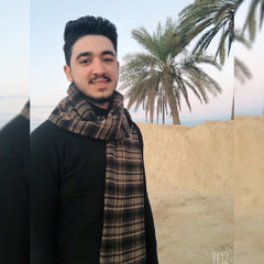 medo elshmbary