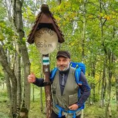 Szatmári Zsolt