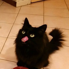しんむ shinmu