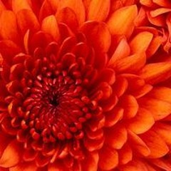 عبدالكريم مهيوب