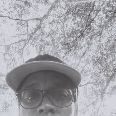 Desmond P Artist