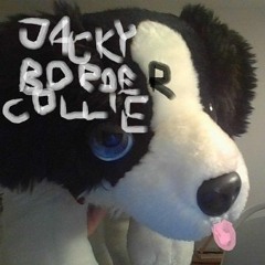 JackyBorderCollie