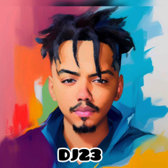 DJ23