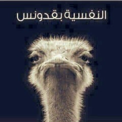 محمود الهواري