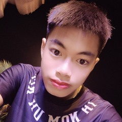 Phan Vũ Gia Huy