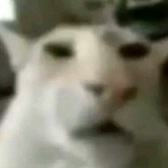 jazz pra minha alma