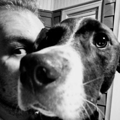 Starbucks Holiday App