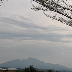 Vio Rizal