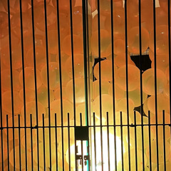 wallhole