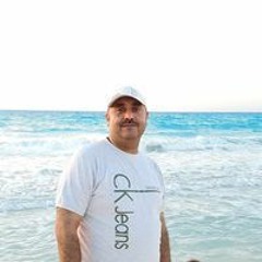 Amr M Hassan