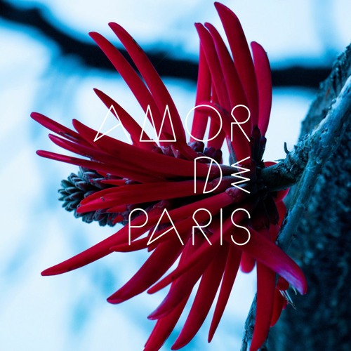 Amor de Paris’s avatar