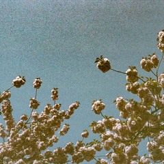 [SPNXR]