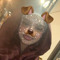stays_sunshine