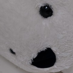 곰돌