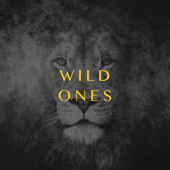 Wild Ones