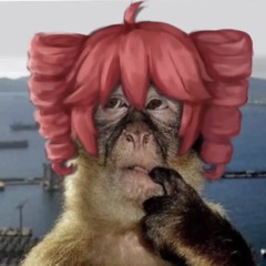 LilShrimp