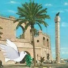 Wasila Elasheg