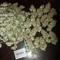 dgkhfdkfo)))_228_)))