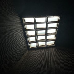 tranzfuse