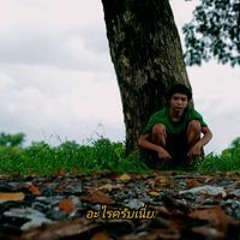 เดินหน้า ไปล่ากะปอม